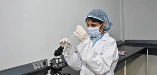 Students studying together