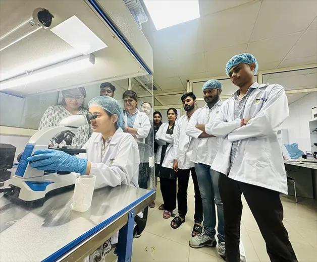 Students collaborating