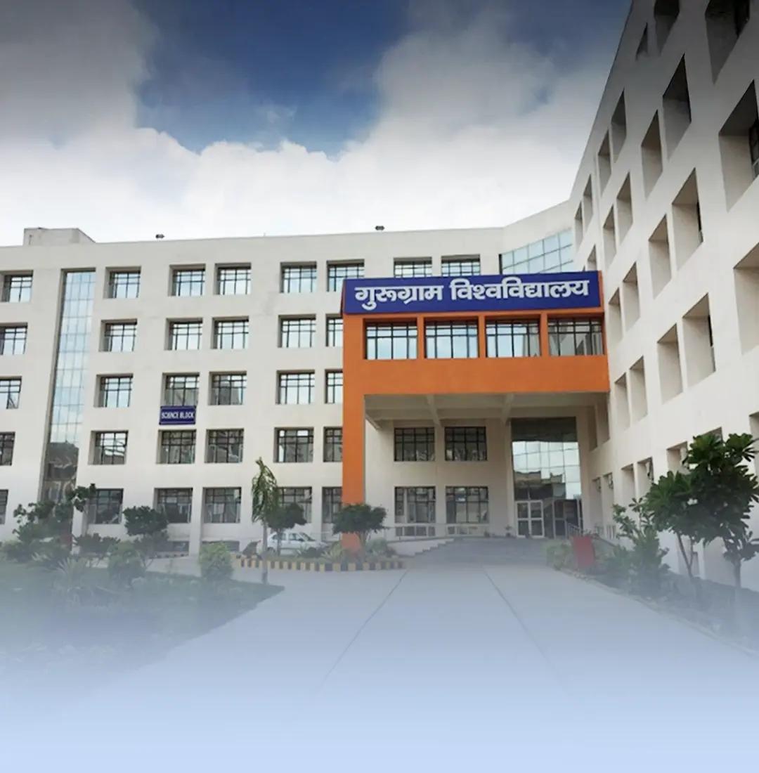 Students studying together